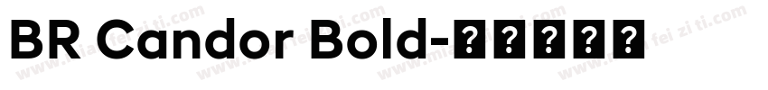 BR Candor Bold字体转换